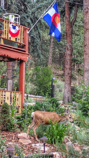 Others 5, Alpen Way Chalet Mountain Lodge, Jefferson
