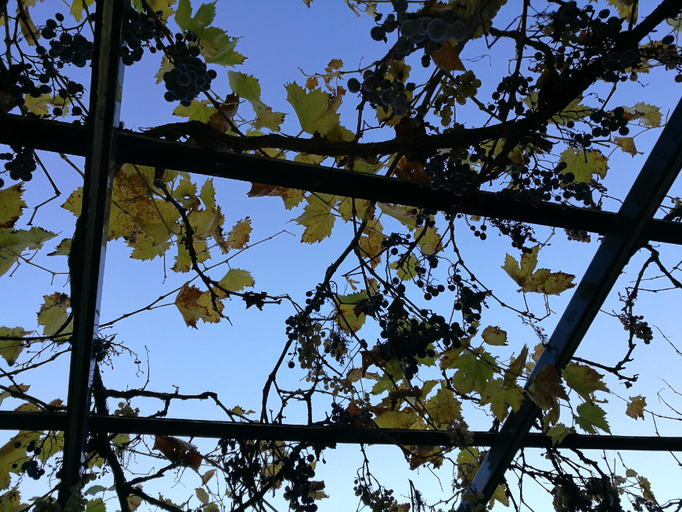 Others 3, Halte Air et Go, Alpes-de-Haute-Provence