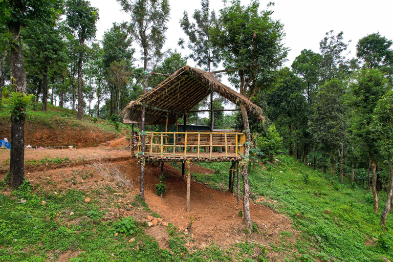 Others 5, Wild Courtyard Vythiri, Wayanad