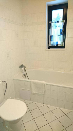 Others 3, Apartmany EDDY, Semily