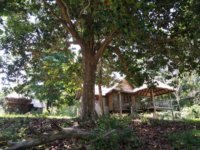 Others 4, Jansom Bungalow 2, Muang Ranong