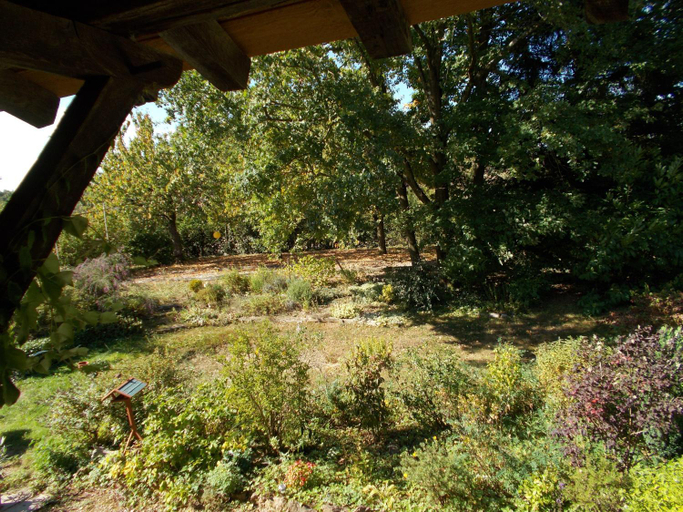 Scenery 10