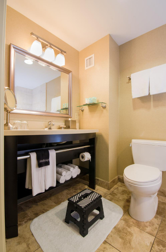 Bathroom 4, West Inn and Suites, San Diego