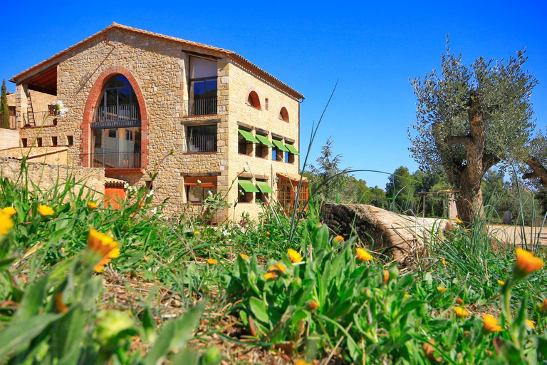 Others 5, Mas Del Cigarrer Allotjament Rural, Tarragona