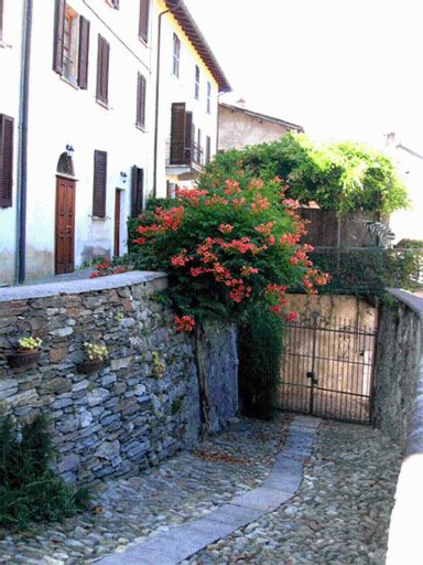 Le Camelie, Varese