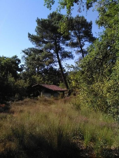 Others 2, L'Atelier du Grison, Landes