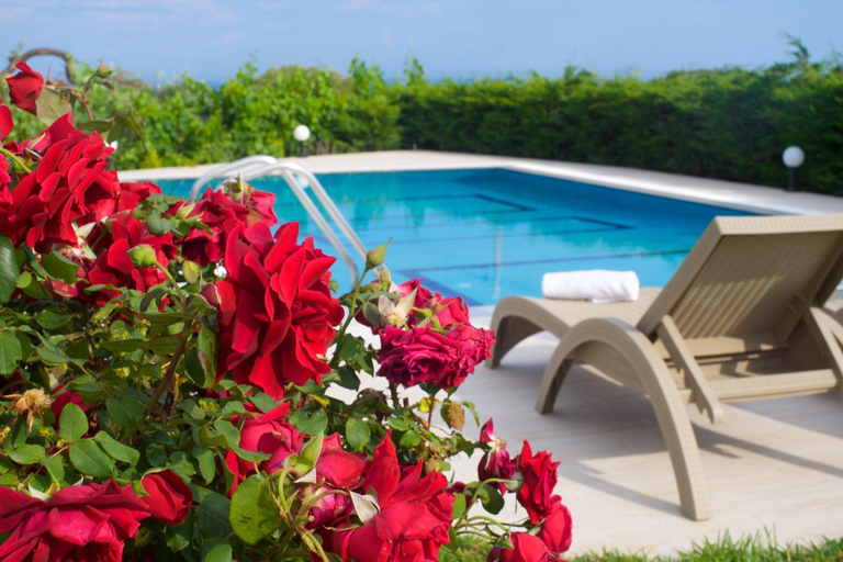 Others 5, Villa Alonia, Ionian Islands