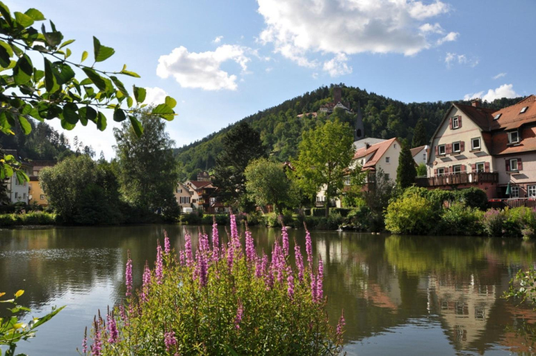 Others 4, Gasthof L'italiano Vero, Calw