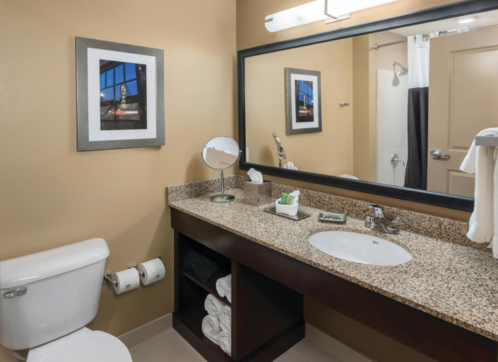 Bathroom 5, ClubHouse Hotel & Suites - Fargo, Cass