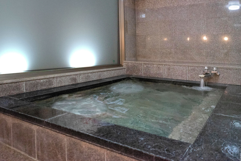 Bathroom 4, Hotel New Gaea Iizuka, Iizuka