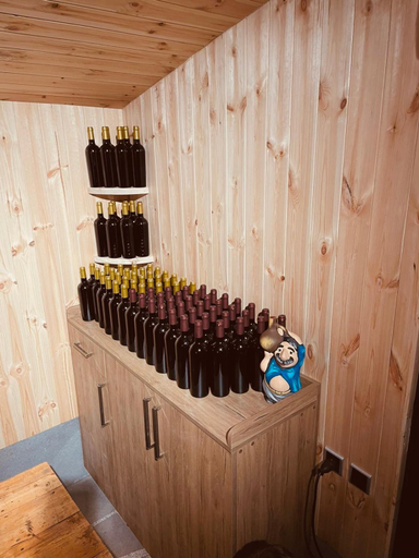 Food & Drinks 5, Hotel Tsiskari, Aspindza