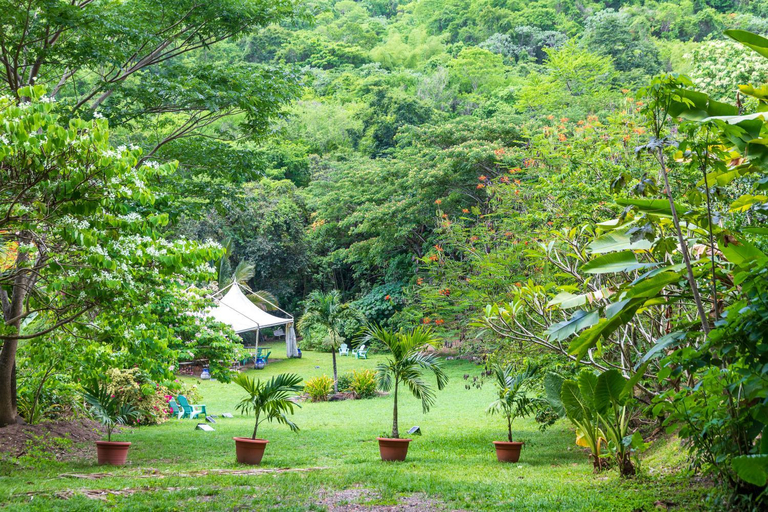 Others 3, Martinique Treehouse, Le Morne-Vert