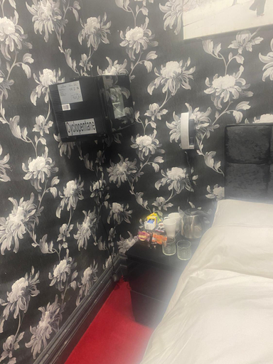 Bedroom 3, Mannbuilding, London