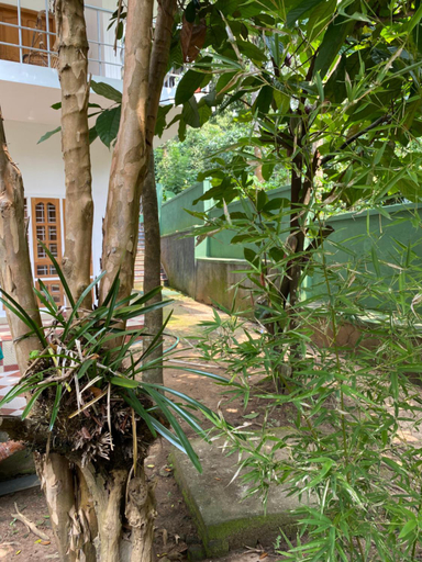 Others 4, Tranquilou homestay, Theni