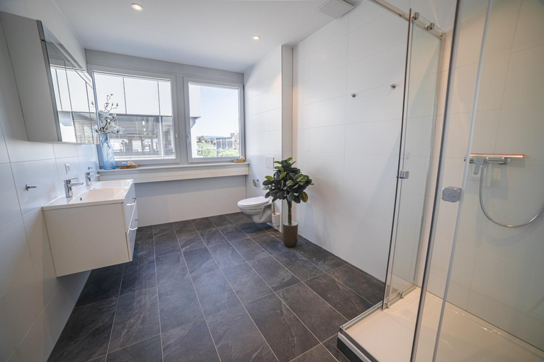 Bathroom 2, Pit Stop Apartments, Zug
