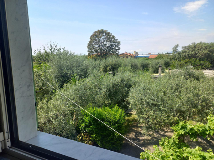 Others 5, la madonnina, Lucca