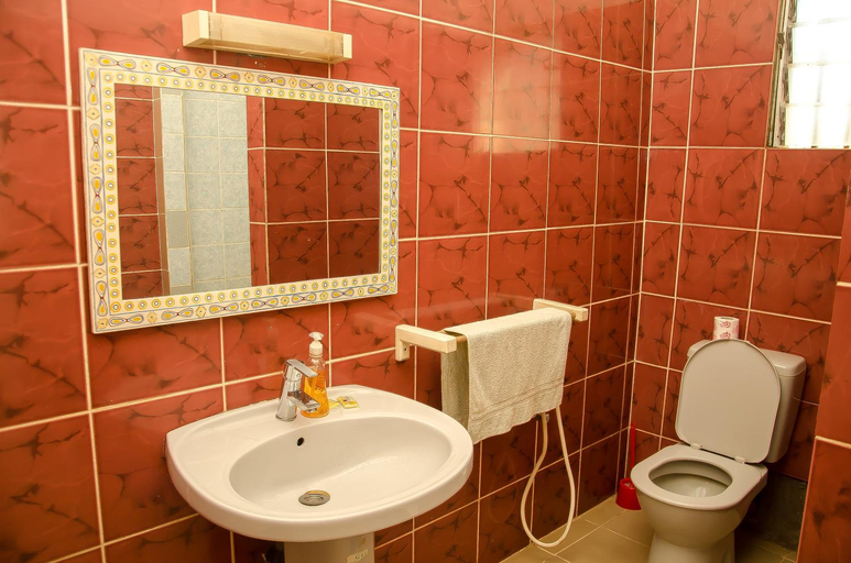 Bathroom, NY Telomiova, Analamanga