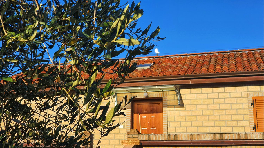 Exterior 13