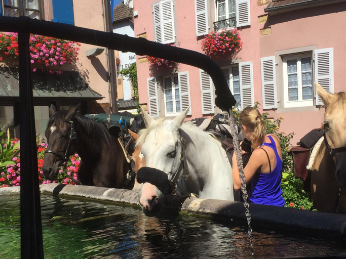 Sport & Beauty 4, Auberge du Rempart, Haut-Rhin