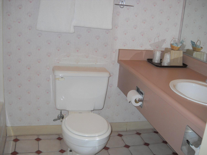 Bathroom 5, Palms Courtyard Inn, Orange