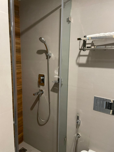 Bathroom 2, Palmo Holiday Apartments, Bagmati