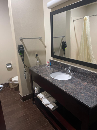 Bathroom 2, La Plaza Inn and Suites - Freer TX, Duval