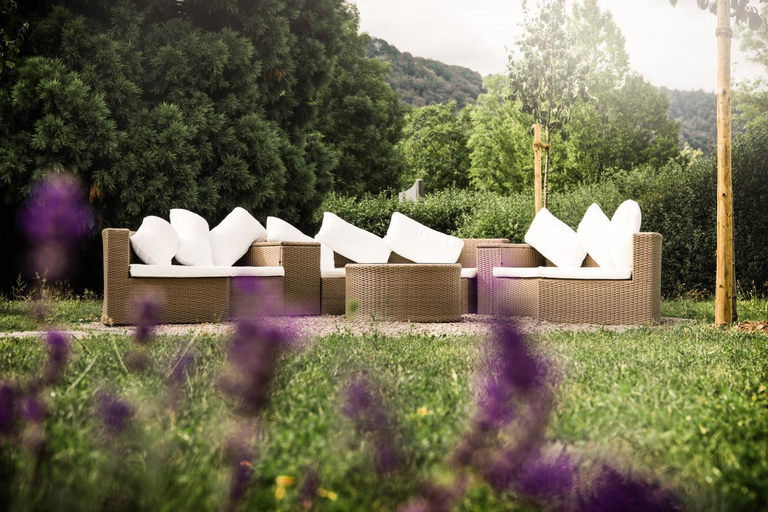 Others 4, Ferien Weingut Schneider, Cochem-Zell