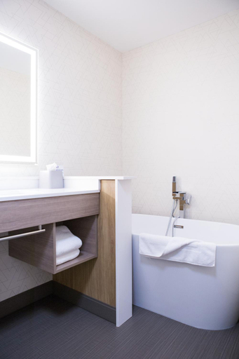 Bathroom 3, Holiday Inn Express And Suites Prince Albert South By IHG, Division No. 15