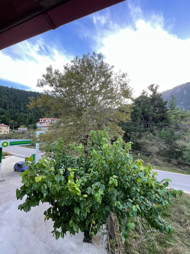 Others 5, 7Hills by Life Houses, Central Greece