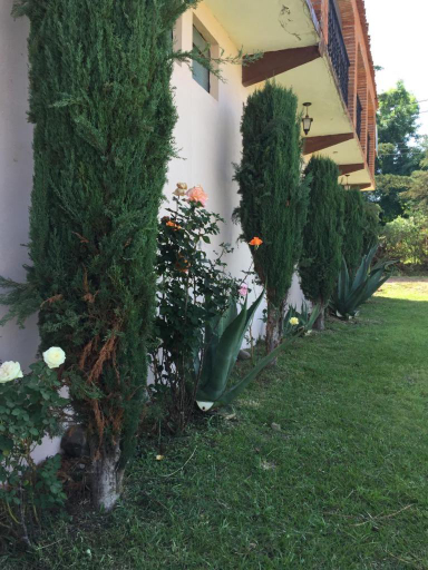 Others 5, Hotel Lienzo Charro 1, Omitlán de Juárez