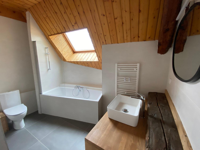 Bathroom 2, La Taniere, Isère