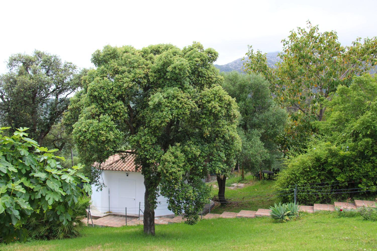 Others 3, Finca El Campo Villa privada con piscina y vistas a la naturaleza, Cádiz