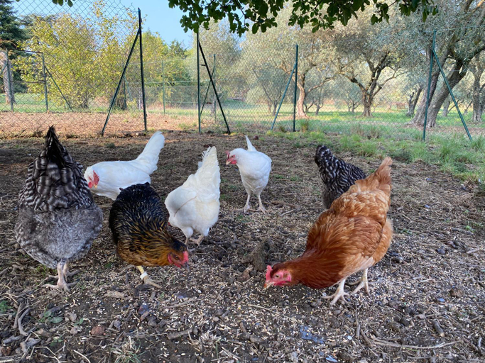 Others 2, Chateau Saint-Pierre de Mejans, Vaucluse