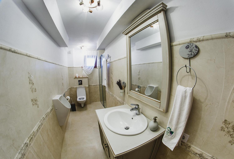 Bathroom 3, Vila Dintre Vii, Miercurea Sibiului
