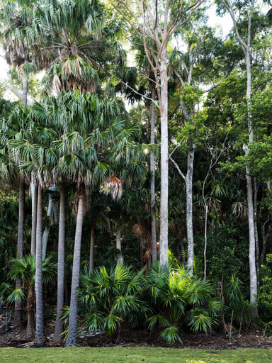 Exterior & Views 5, Tallowwood House Luxury Bed & Breakfast, Port Macquarie-Hastings - Pt A
