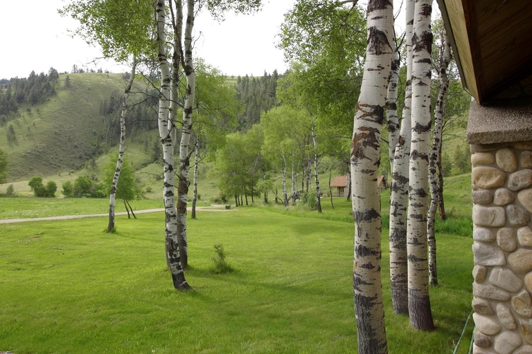 Others 3, Rye Creek Lodge, Ravalli