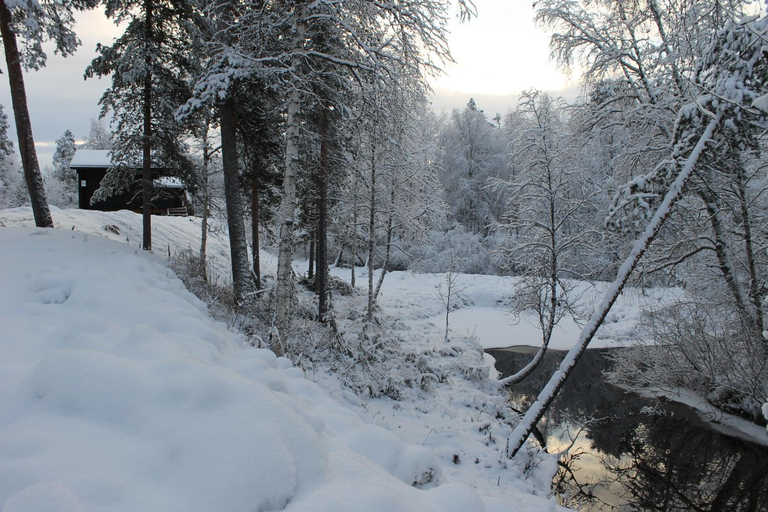 Others 4, Ivalo River Camping, Lapland