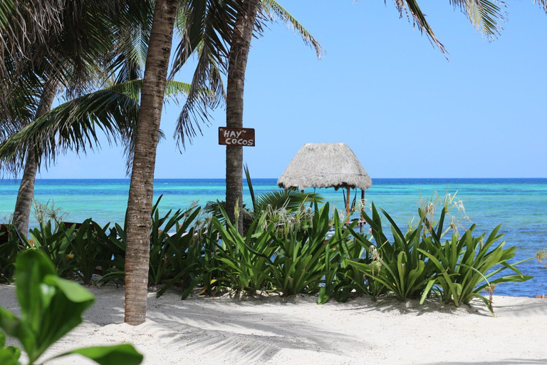Others 4, Casa Colibri Tankah, Cozumel