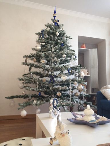 Others 3, B&B Borgo Marina, Imperia