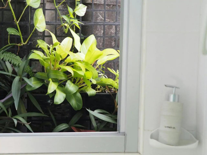 Others 4, Makkasan Happy Home, Ratchathewi