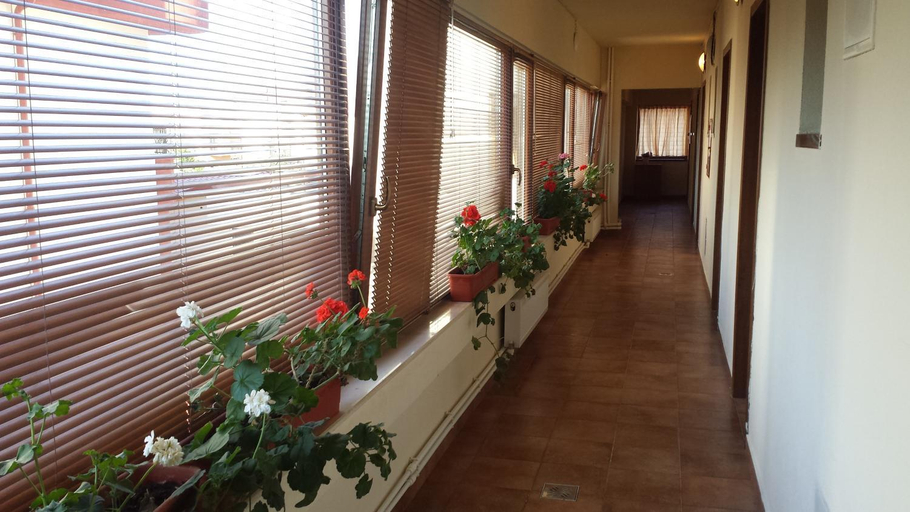 Public Area, Hostel Nova Route, Navodari