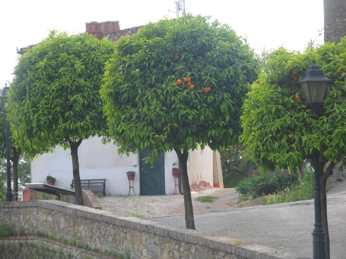 Others 4, Hotel Tarabaralla, Pistoia