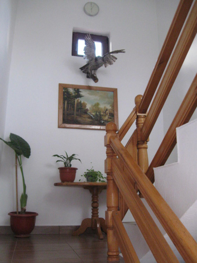 Others 4, Casa Fabrizio, Calimanesti