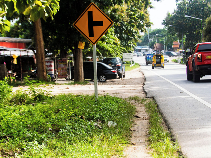 Others 5, Haidaily, Chom Thong
