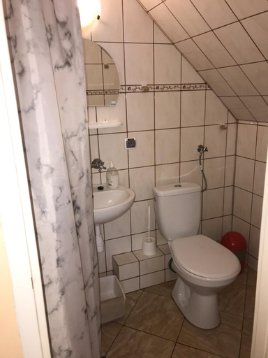 Bathroom 2, Anna Maria II, Puck