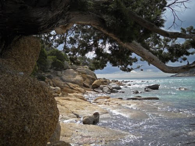 Food & Drinks 3, Bed and Breakfast Su Niu, Cagliari