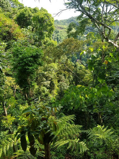 Scenery 10