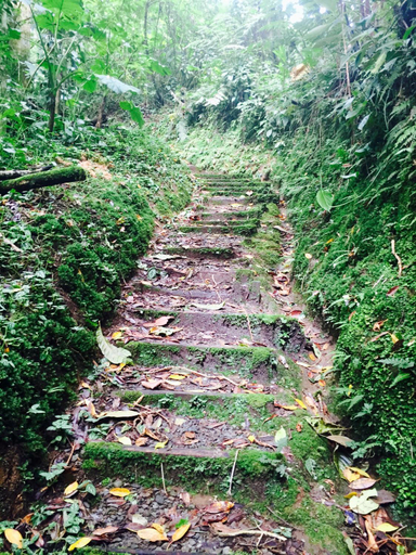 Others 4, Los Quetzales Ecolodge & Spa, Bugaba