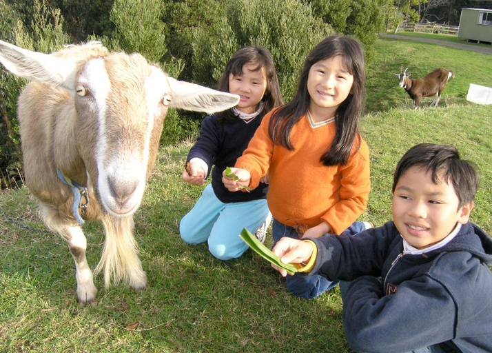 Others 5, Johanna River Farm & Cottages, Colac-Otway - South