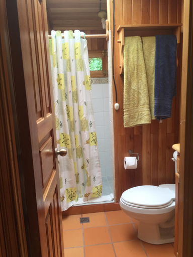 Bathroom 4, Los Quetzales Ecolodge & Spa, Bugaba